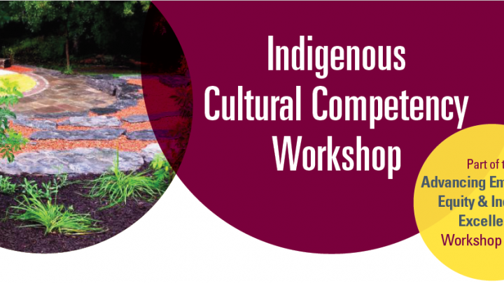 Indigenous Cultural Competency Text