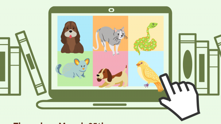 virtual pet meet and greet infographic