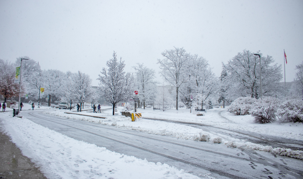 wintery scene on campus
