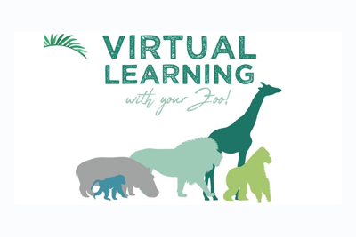 Virtual Learning Animal Poster